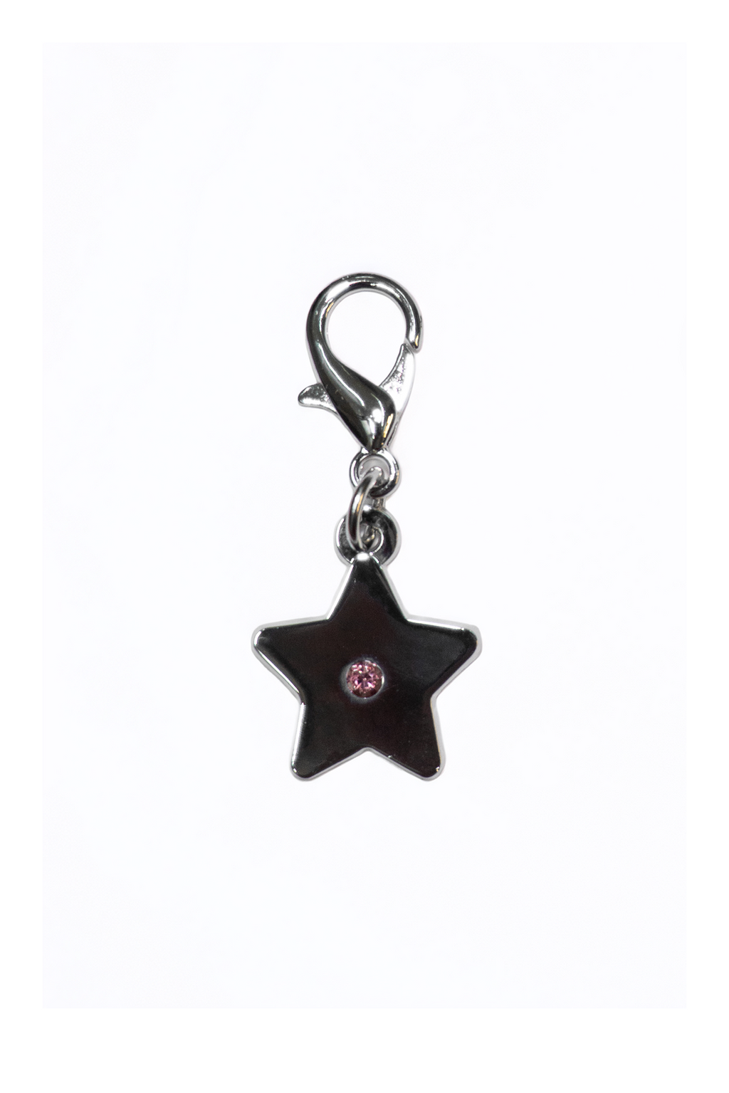 Journal Charms
