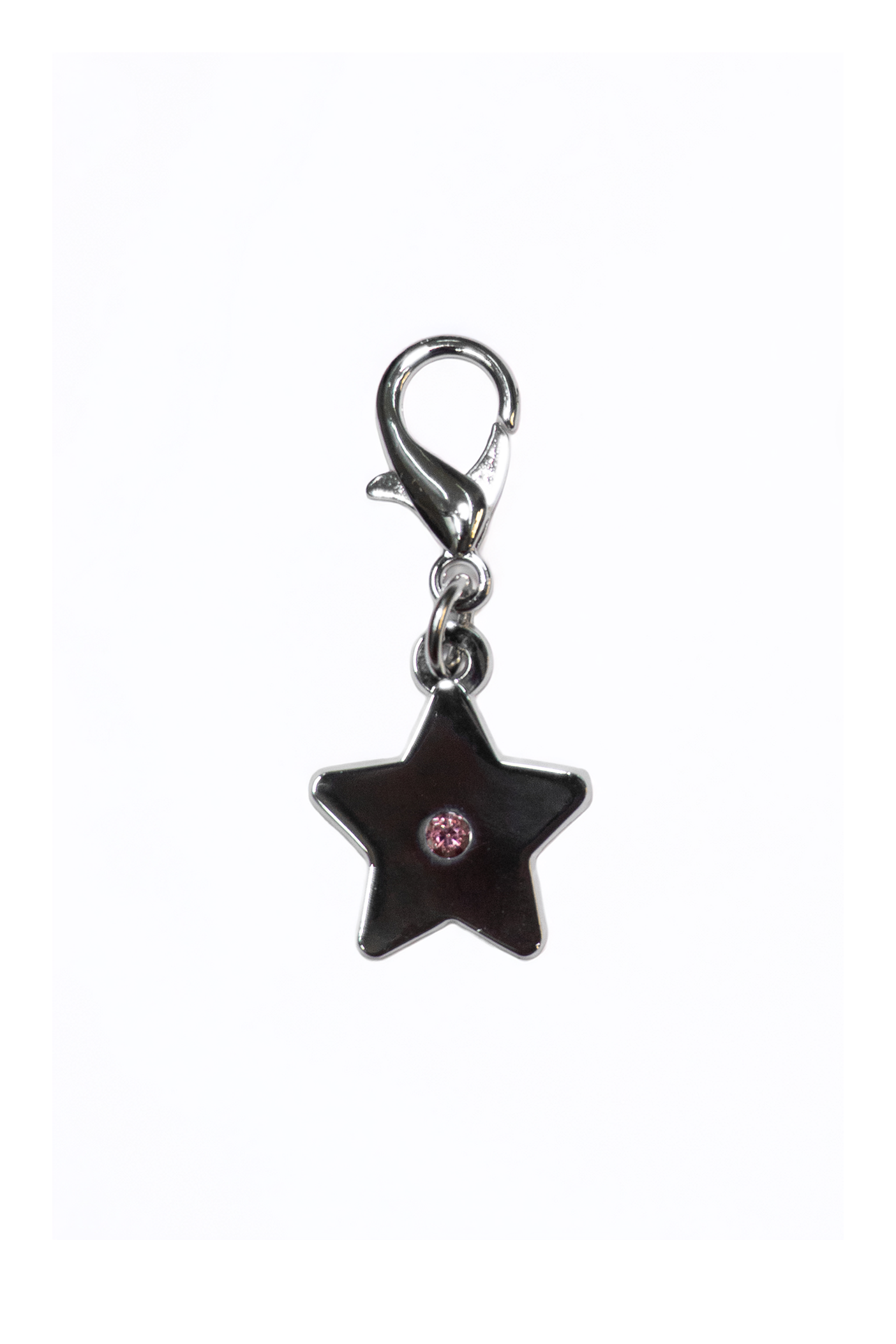 Journal Charms